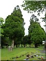 St Michael, Verwood: churchyard