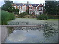 Houses by the pond, Kew Green