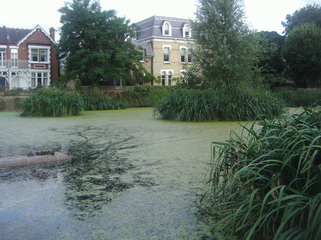 Pond by Kew Green