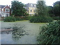 Pond by Kew Green