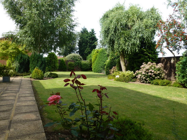 Part of a back garden in Wisbech St Mary