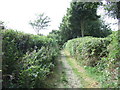 Byway towards Heighington