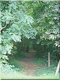 TQ1558 : Footpath into Teazle Wood by Hugh Craddock
