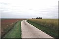 Footpath to Lashley Hall