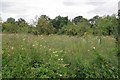 Return to Sweetings Meadow