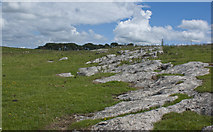 SD7669 : A patch of exposed limestone pavement by Ian Greig