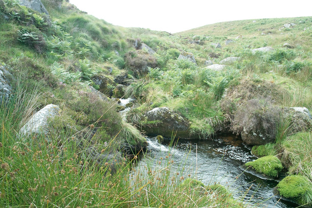 Upper reaches of River Taw