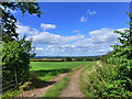 Track - a public footpath - off Stock hill near Littleton-on-Severn