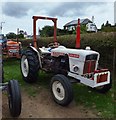 SH8070 : David Brown 780 Selectamatic Tractor by Richard Hoare