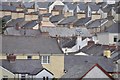 Bideford : House Rooftops