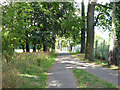 Path beside the railway, Goffs Park