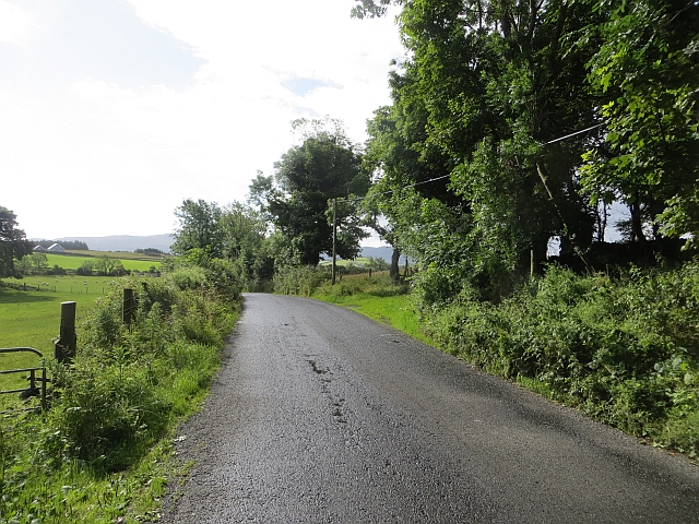 Minor road, Springfield © Richard Webb :: Geograph Ireland