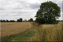 TL0645 : Hedge and ditch by the bridleway with hangars in the distance by Philip Jeffrey