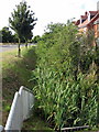 Stream and hedge by the new houses on the old Bedford Road