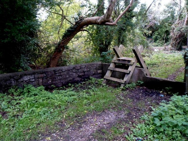 Wooden steps to the Frome Valley Walkway, Yate