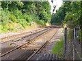 Railway Tracks at Sunningdale