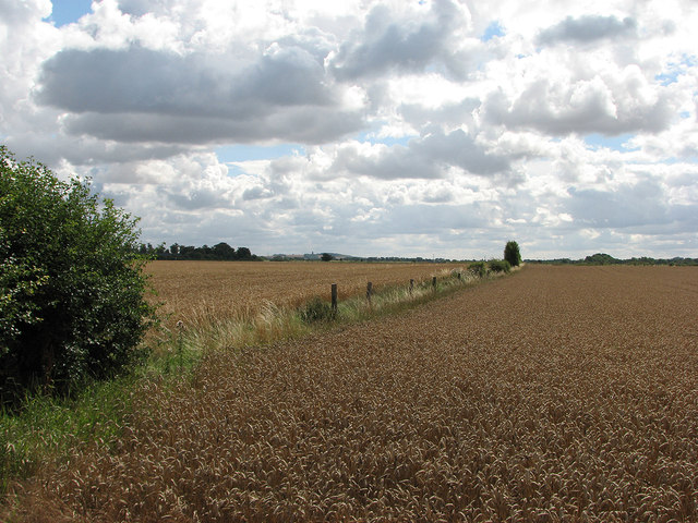 Wheatfields and where the railway was