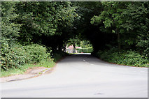 TQ2254 : Walton-on-the-Hill:  Deans Lane by Dr Neil Clifton