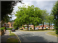 Roundabout on Perryfield Road, Southgate, Crawley