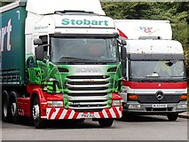 TL3565 : Stobart Lorry at Cambridge Services by David Dixon