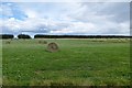 Farmland near Radcliffe