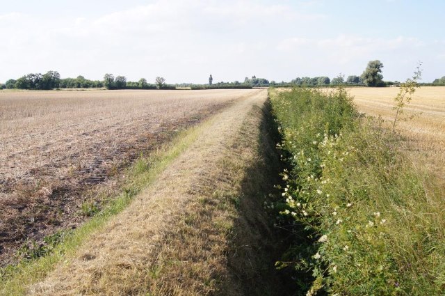 Drainage ditch © Logomachy :: Geograph Britain and Ireland