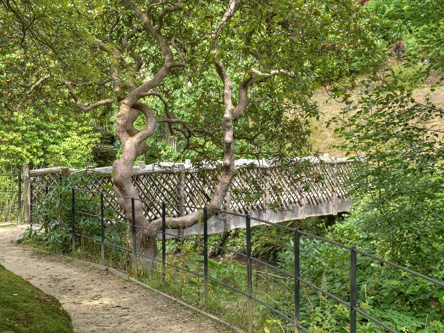 Wooden Footbridge, Quarry Bank Mill Garden