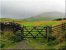SD2997 : Gateway to Pasture above Scrow Beck by Chris Heaton