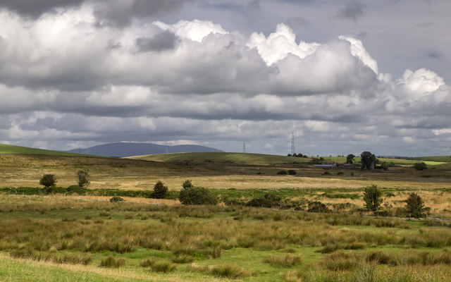 Drumlin landscape