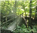 Footbridge near West Wood