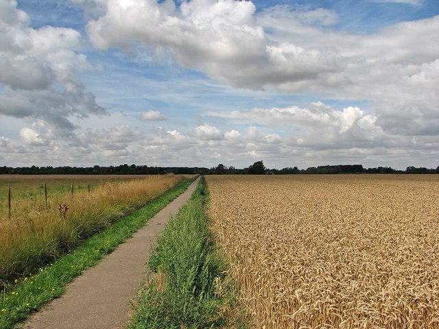 Footpath from Long Meadow to Lode