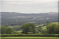 Teignbridge : Countryside Scenery