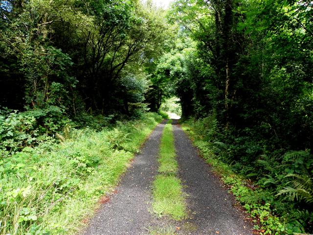 Road at Derrymony