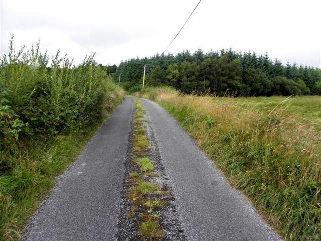 Road at Tullytrasna