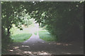 Langley Vale:  Footpath at the east end of Grosvenor Road