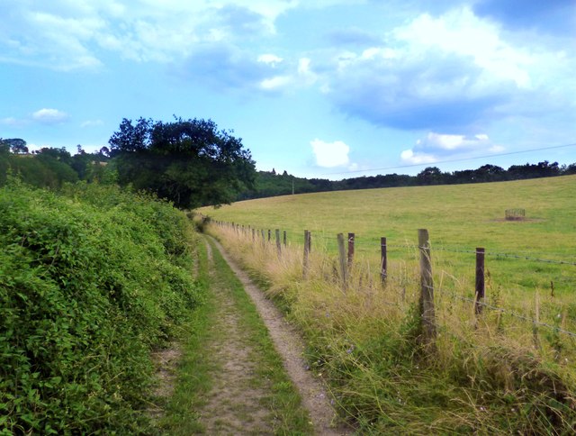 The Chiltern Way near Maidensgrove