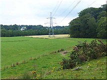 NO4058 : Fields and pylon near Inverquharity by Oliver Dixon