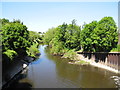 River Cheswold, Doncaster