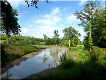 TQ6432 : Pond at Little Pell Farm by Des Blenkinsopp