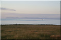 Coastal grassland at Pennyland