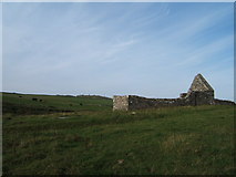 NR2060 : Kilchiaran Chapel by Barbara Carr