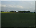 Crop field, Great Hale Fen