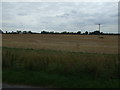 Farmland near Thornton House