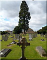 Cross and tree, Chippenham Cemetery