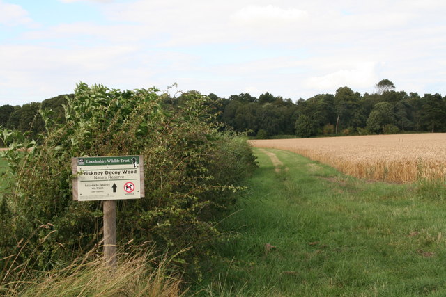 Path to Friskney Decoy Wood © Chris :: Geograph Britain and Ireland