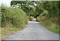 Lane to Stratton near Marsh Farm