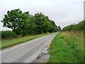 Long Hedge Lane, looking north