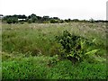 Culvacullion Townland