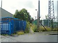 Overgrown footpath