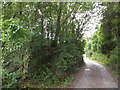 Footpath to Tuckermarsh Quay